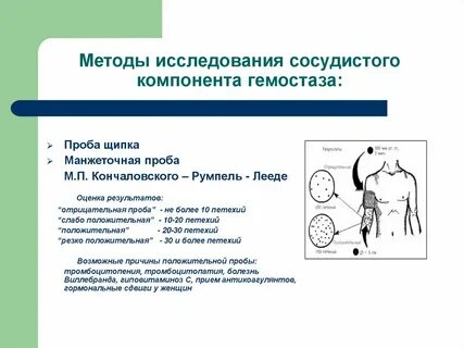 Сосудистый компонент