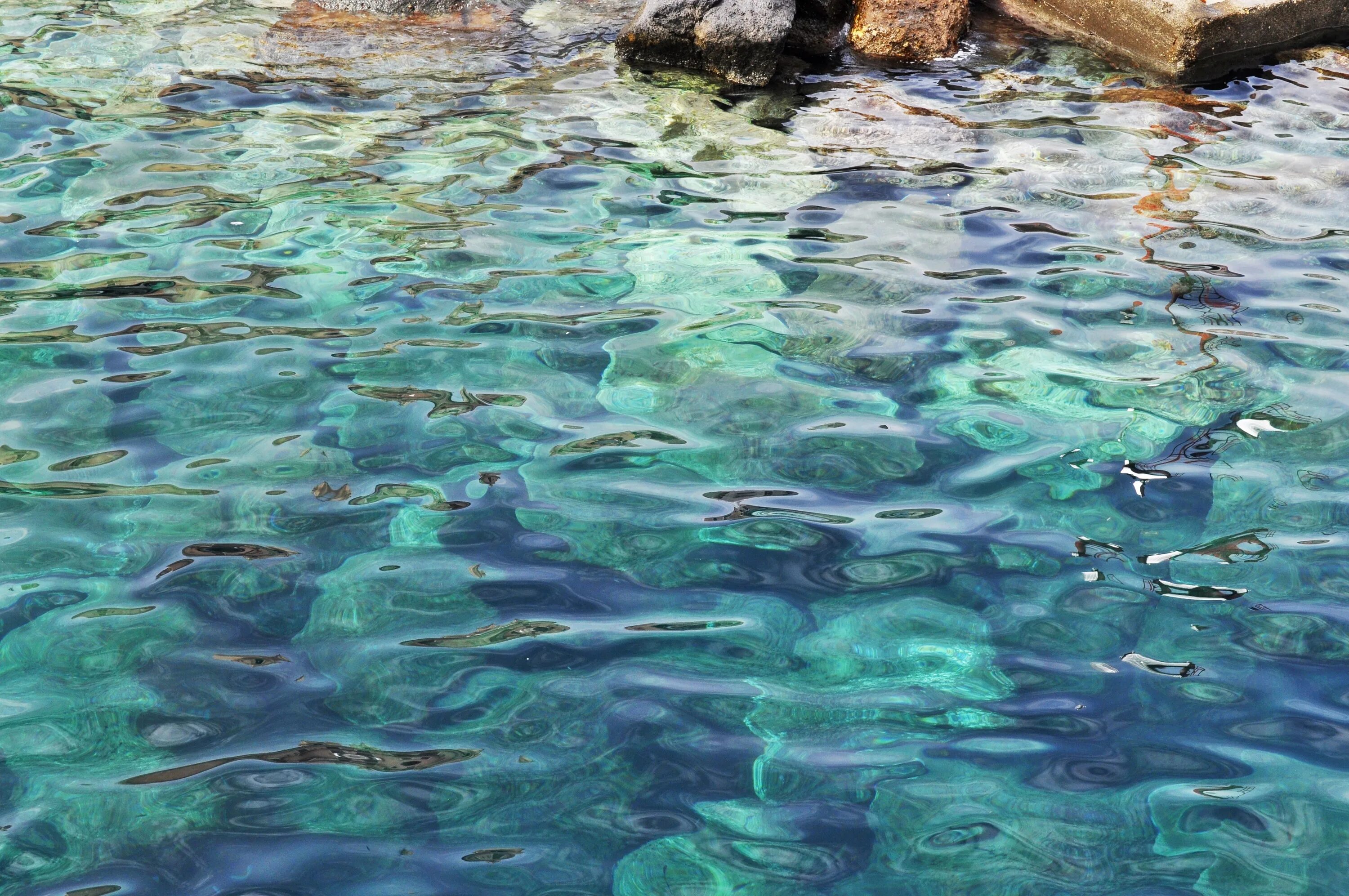 Прозрачное море. Голубая прозрачная вода. Прозрачное море с рыбками. Прозрачная вода море.