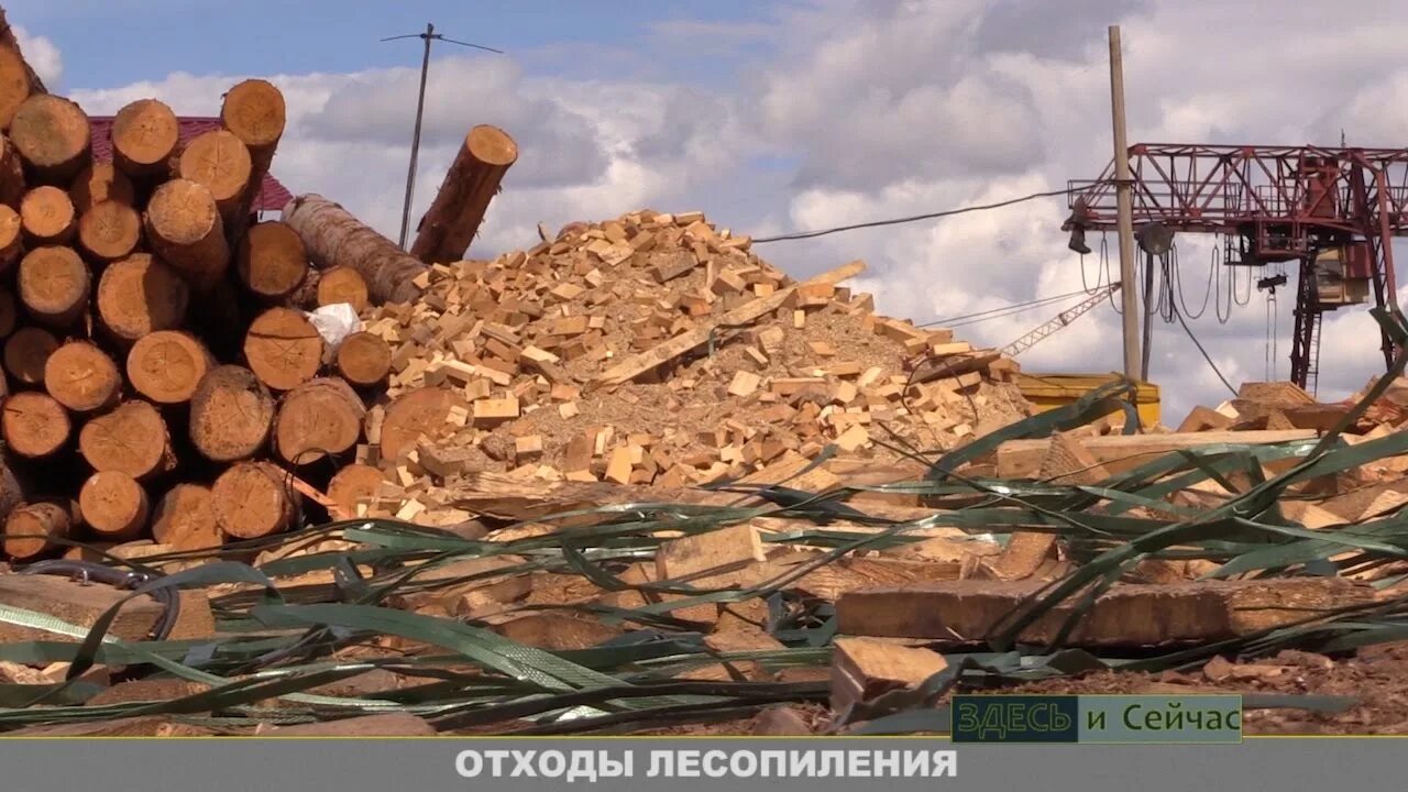 Утилизация древесины. Отходы лесопиления. Кусковые отходы древесины. Свалка древесины. Отходы лесопиления.