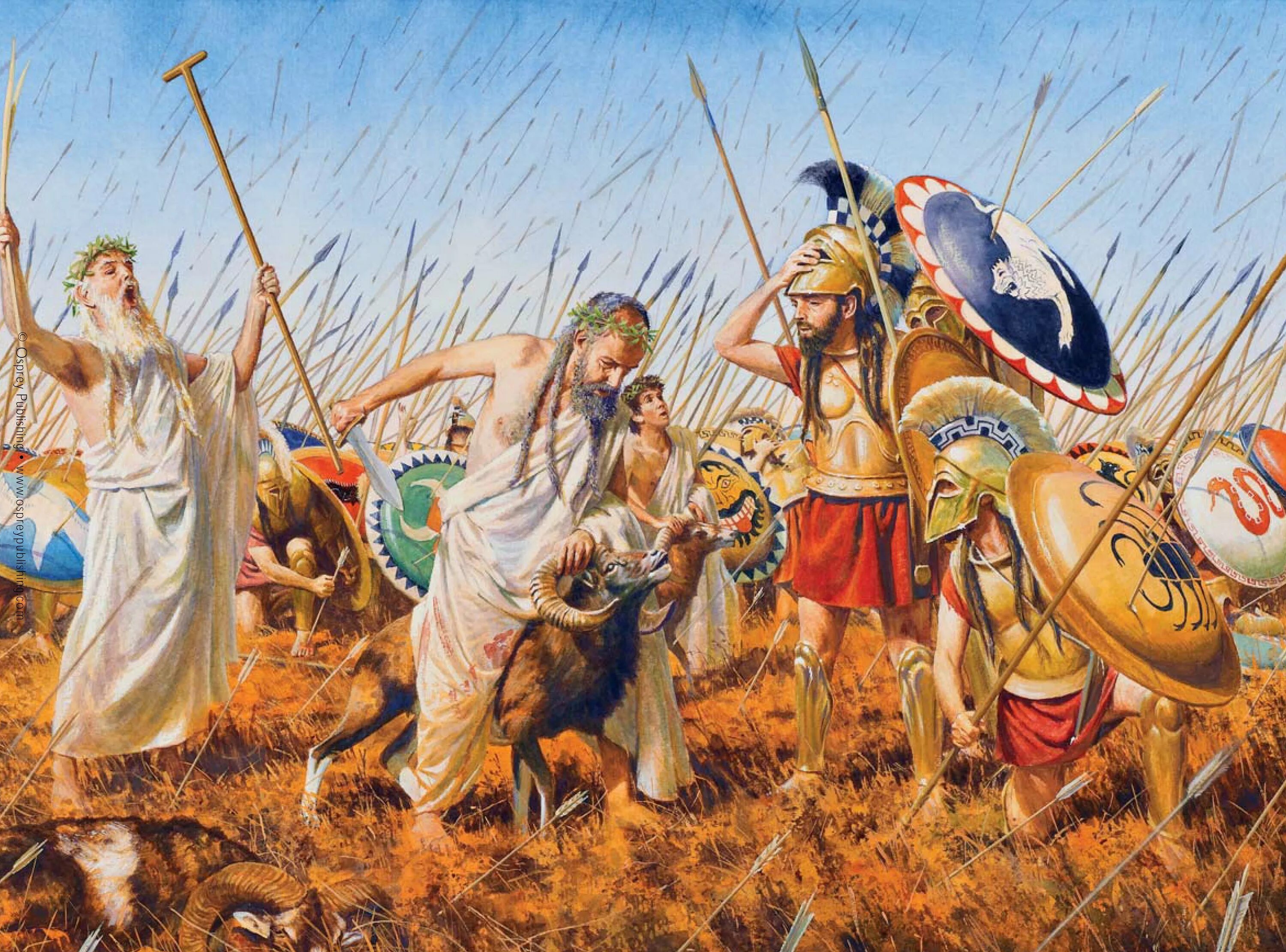 Битва при Платеях 479 г. до н.э.. Спартанцы Гоплиты. Древняя Спарта спартанцы. Гоплиты древней Греции битва. Древний мир сражения