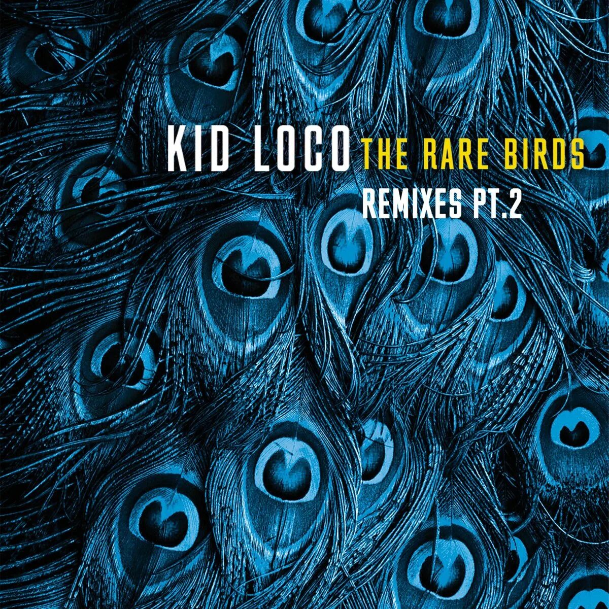 Kid Loco - the rare Birds (2019). Птичка (Remix DJ Kotofey). Kid Loco "a Grand Love story". It Birds песня Loco Loco.