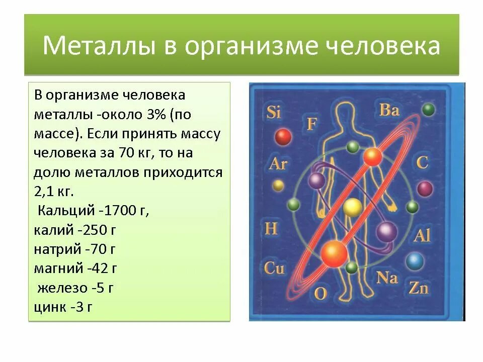 Химические элементы в организме человека 7 класс. Металлы в организме человека. Металлы в человеческом организме. Элементы металлы в организме человека. Значение металлов в организме человека.