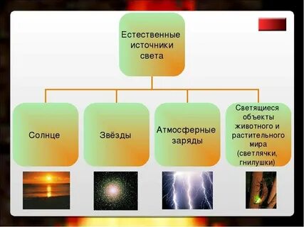 Явления 5 класс естествознание презентация