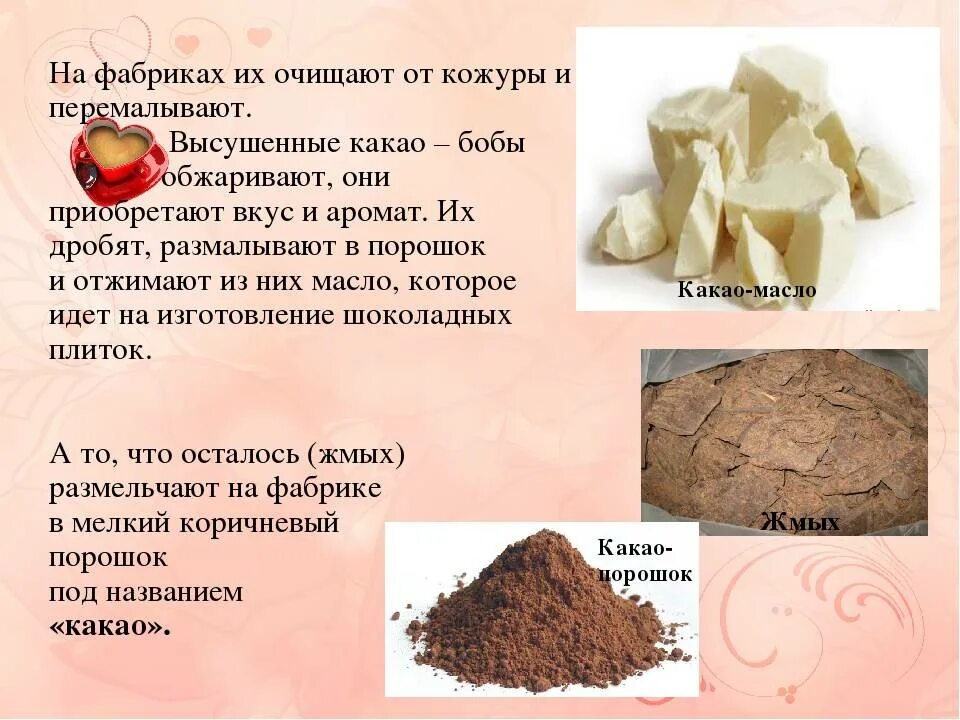 Какао масло и какао тертое рецепт шоколада. Производство какао. Как сделать шоколад из какао бобов. Как делается шоколад из какао бобов. Из чего производят какао.