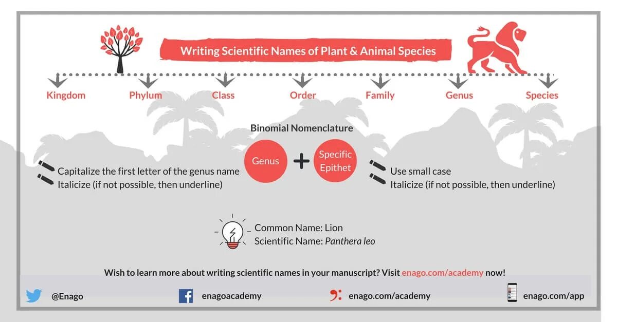 Specific name. Names of sciences. scientific name of pig. most names of sciences are international. names for scientific companies.