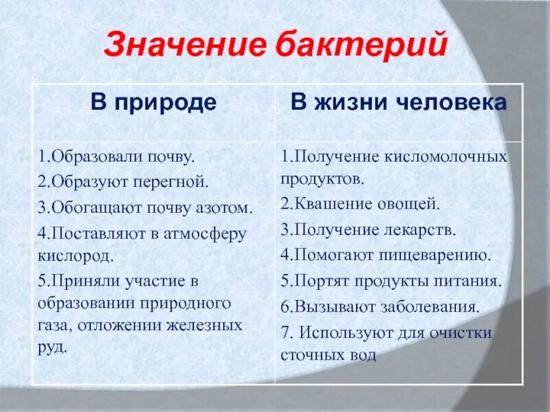 Плюсы бактерий в жизни человека. Значение бактерий 5 класс. Многообразие и значение бактерий. Роль бактерий и вирусов в жизни человека. Значение бактерий и вирусов в природе.