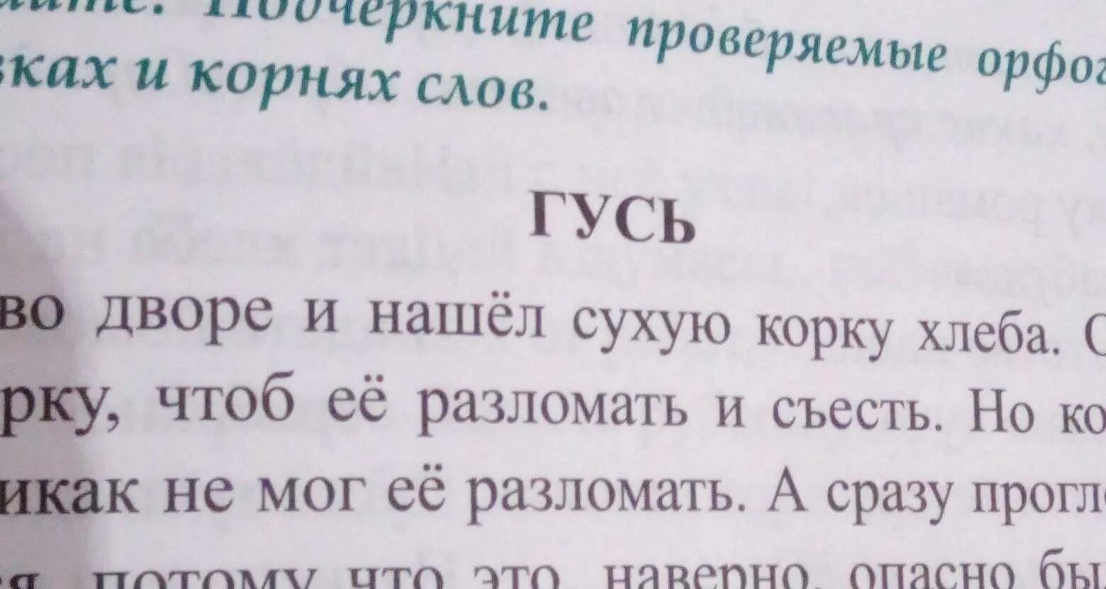 Внутри была лестница вася спустился и осмотрелся