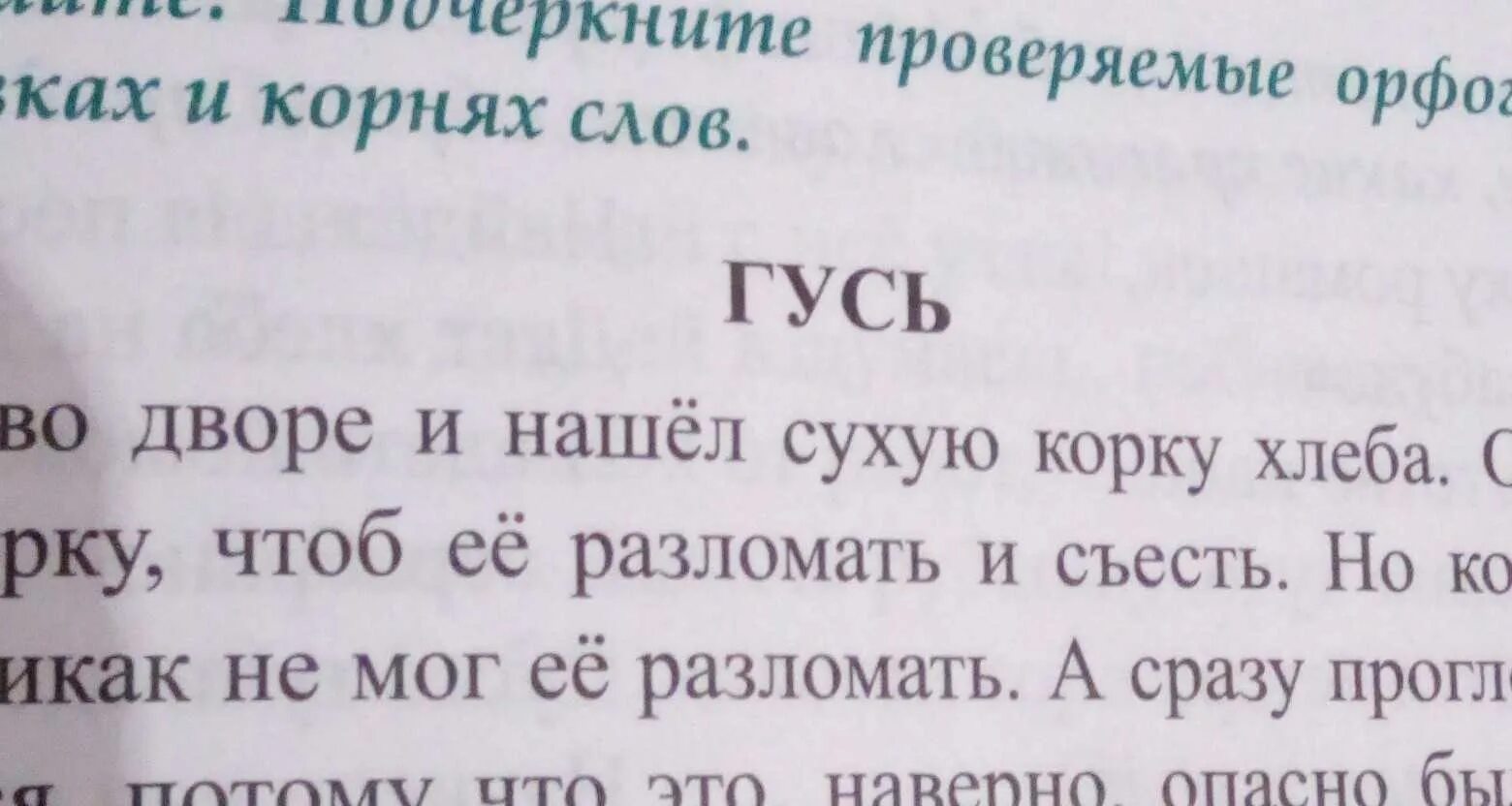 Ни л е. Спиши подчеркни орфограммы. Э.ШИМ Полянки надели цветные платья. Определи границы предложений. Картинка с текстом.