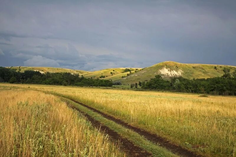 приханкайская низменность. ростовская область природная зона - степи. широта степи. климат степей летом. природа саратовской области степи.