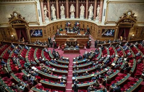 Парламент франции структура