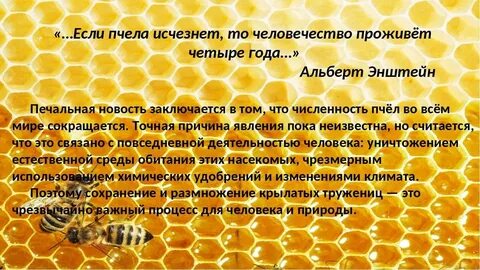Если бы не было пчел