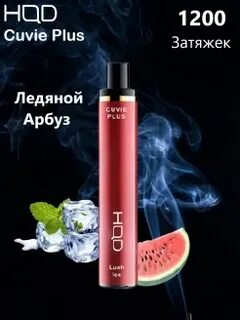 Электронный 1200