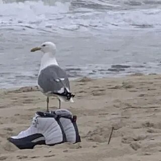 But if at the