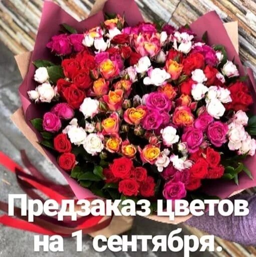 Принимаем заказы на букеты. Принимаем заказы на букеты к 1 сентября. принимаем заказы на 1 сентября цветы. принимаем заказы на 1 сентября.