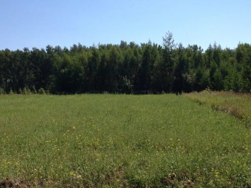 Погода в ледово каширский