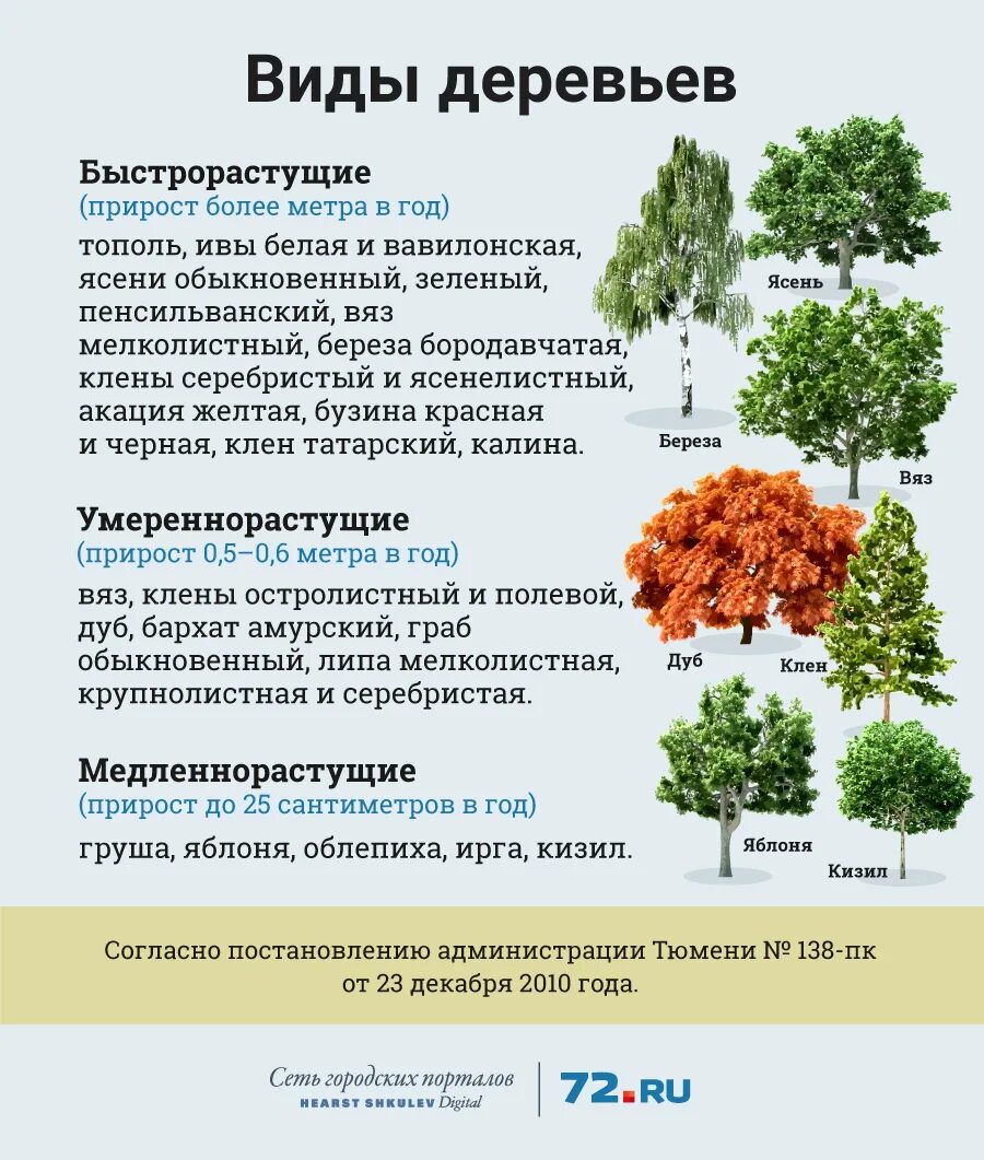 Какие деревья считаются аварийными. Быстрорастущие деревья таблица. виды деревьев. годовой прирост деревьев таблица. годовой прирост дерева.