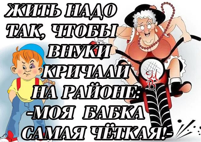 Моя бабушка. Как говорила моя бабушка цитаты. Как говорила моя бабушка картинки. Как говорила моя бабушка если в сумочку не помещается бутылка вина. Это не моя бабушка.