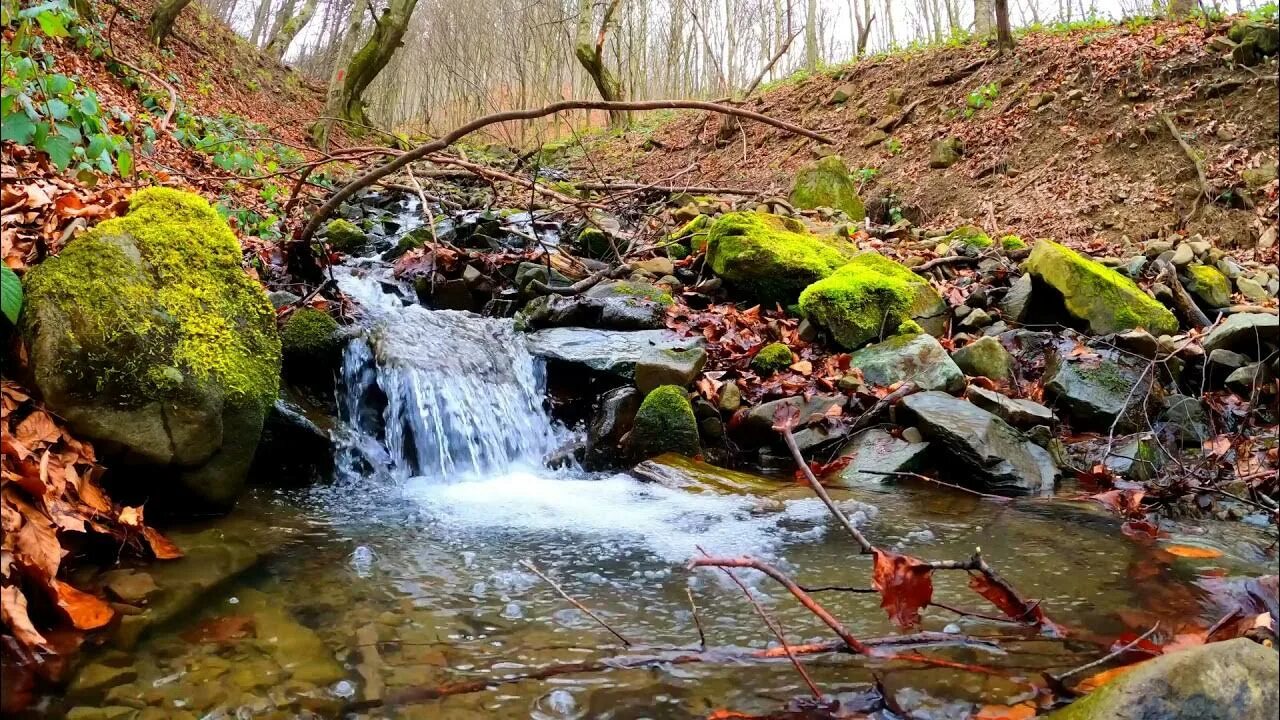 Шум воды ручья. Журчание реки. Журчание воды ручей. Шум ручья. Шум ручейка.