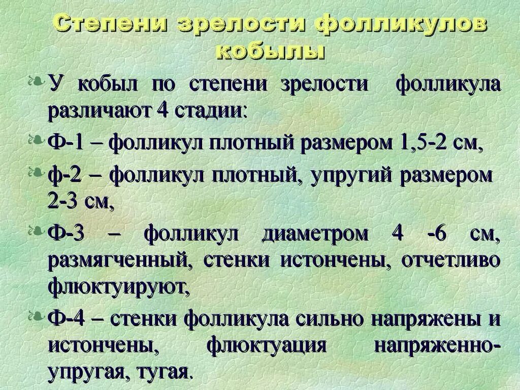 Степени зрелости фолликула у кобыл. Вторая степень зрелости плаценты. Степень зрелости плаценты. 35 недели степени зрелости. Степень зрелости плаценты на 32 неделе беременности.
