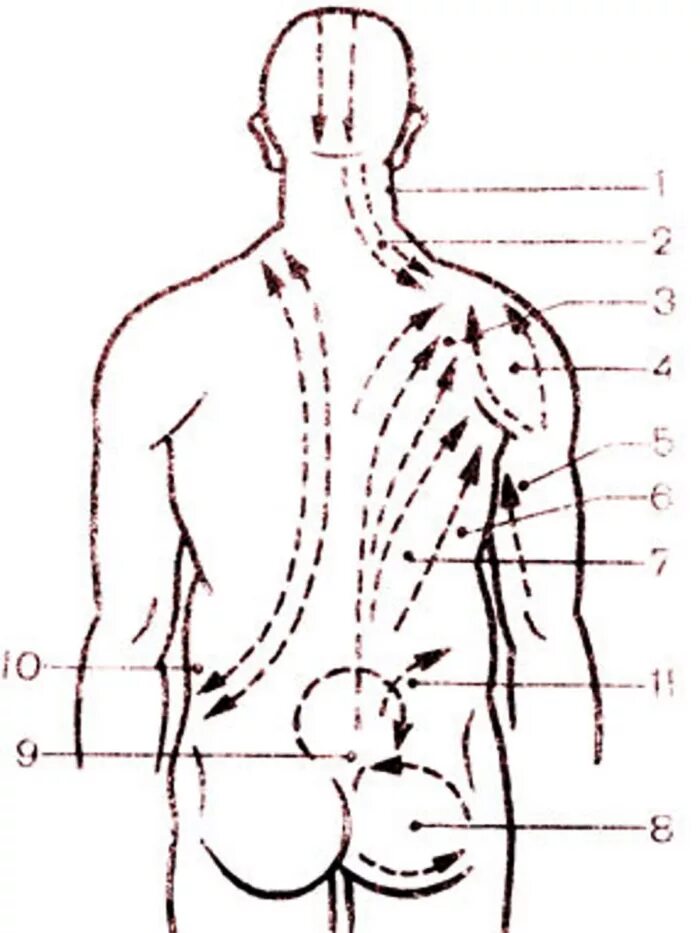 Точки на пояснице. Схема проведения массажа спины. Массаж спины схема движений для начинающих. Массаж спины расслабляющий схемы. Массажные линии спины схема для массажа.