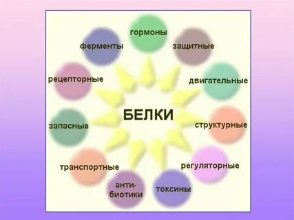 Белки токсины примеры