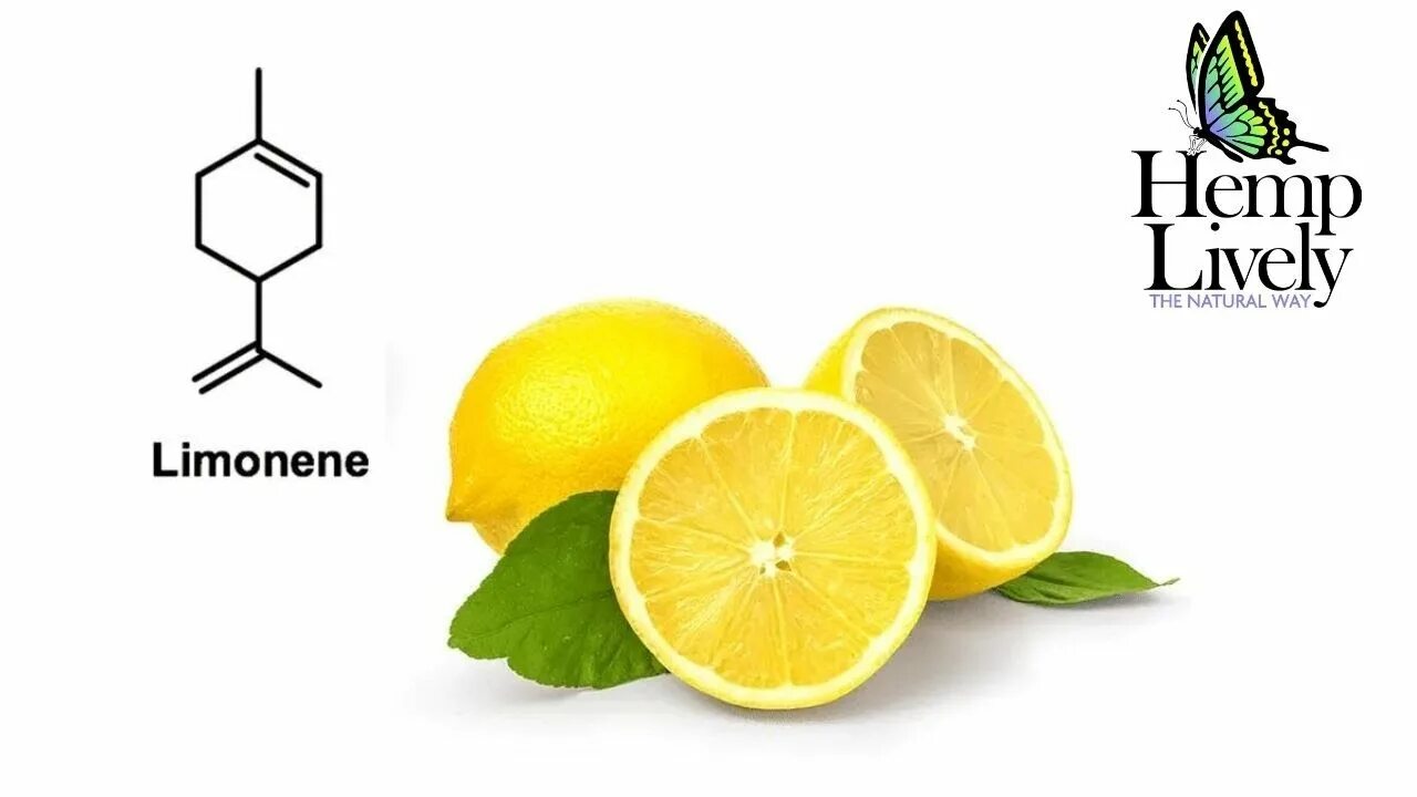 Pantastic lemon