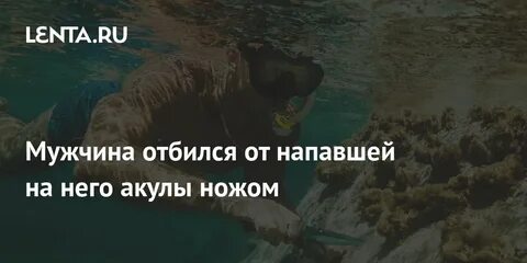 Отбился от нападавших
