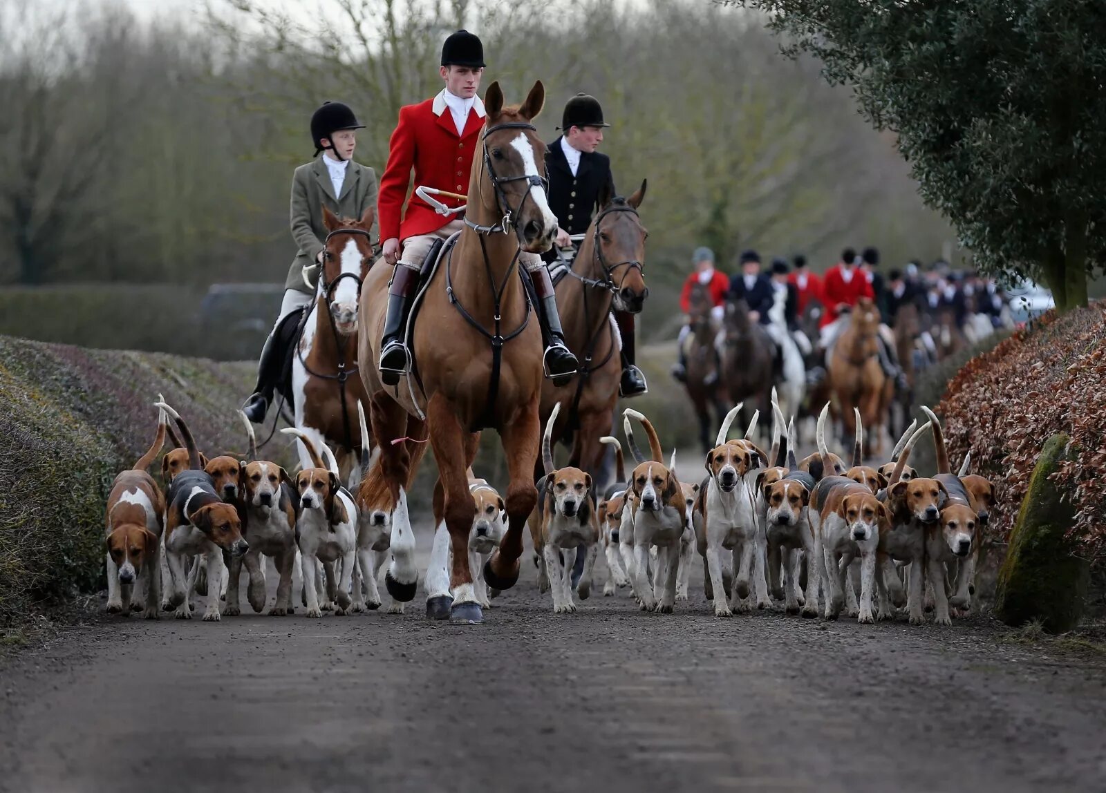 Fox hunting