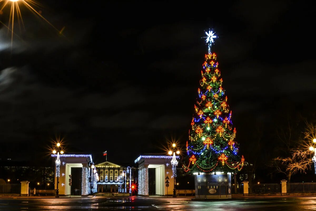завалило елку в симферополе. новогоднюю ёлку с санкт-петербурге центральная. новогодняя ёлка в ефремове. московский район спб новый год. елки в красносельском районе спб.