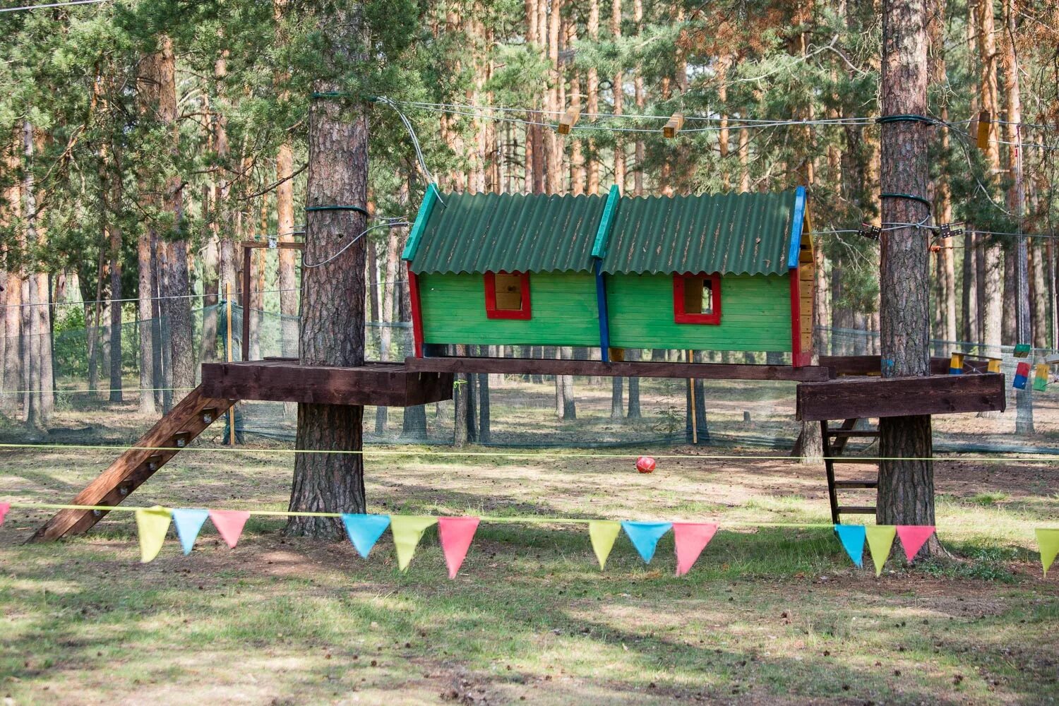 Веревочный парк чита. Парк хамелеон Чита. Веревочный парк хамелеон. Верёвочный парк в Чите хамелеон.