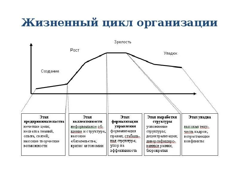 1 жизненный цикл организации. 1 жизненный цикл организации