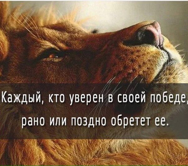 Все возможно рано или поздно. Рано или поздно каждому. каждый кто уверен в своей победе. каждый получит свое цитаты. каждый получит по заслугам цитаты.