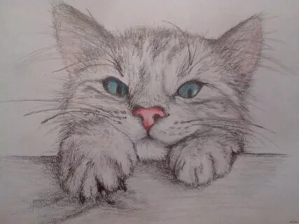 Коты нарисованные простым карандашом легкие