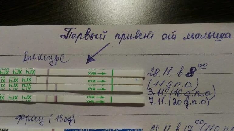 Беременна тянет живот как при месячных. Задержка месячных. при задержке месячных. тянет низ живота и задержка месячных. задержка 3 дня болит.