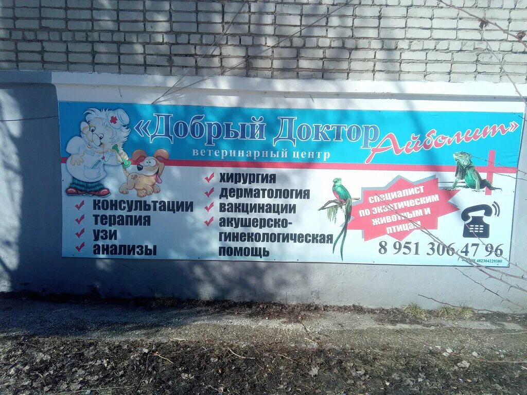 Айболит грязи