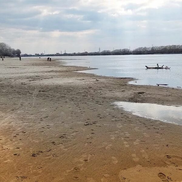 Курганинск пляж городской. Пляж в краснодаре на реке кубань. Пляжи на реке кубань. Пляжи на реке кубань. Пляжи на реке кубань.