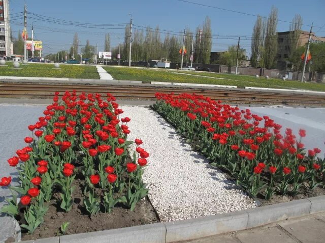 Весенняя 14 волгодонск. Весенняя улица волгодонск. Пейзажи волгодонска. Волгодонск весной. Весенняя 16 волгодонск.