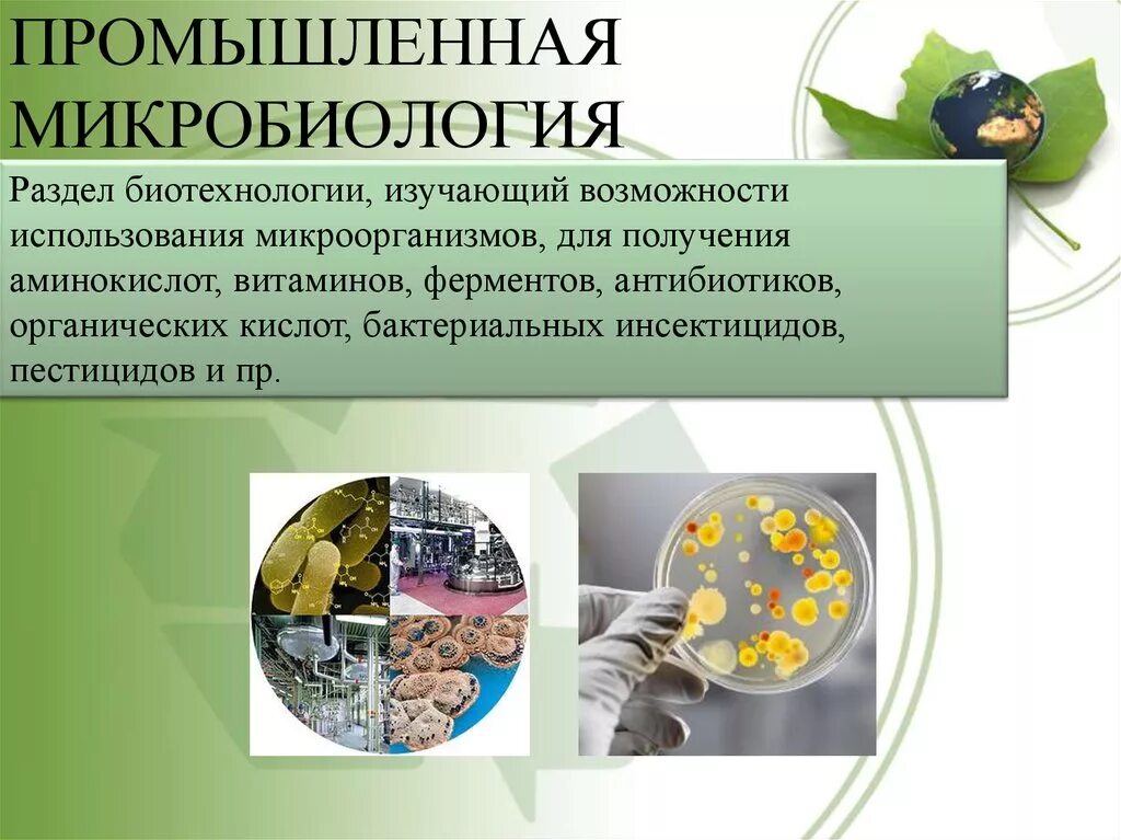 Микробиология и биотехнология