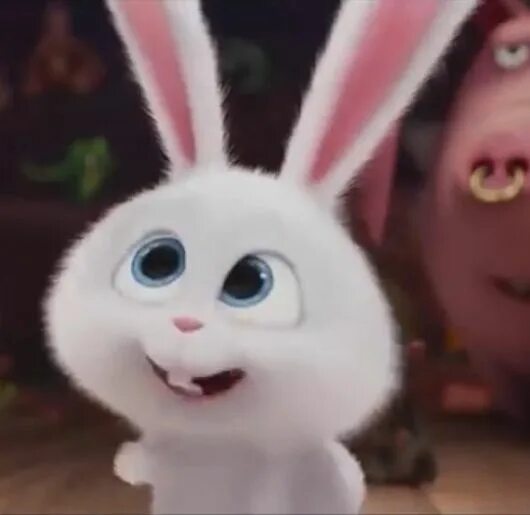 Pin by Nisreen on i like it Cute bunny cartoon, Pets movie, Cute animal drawings