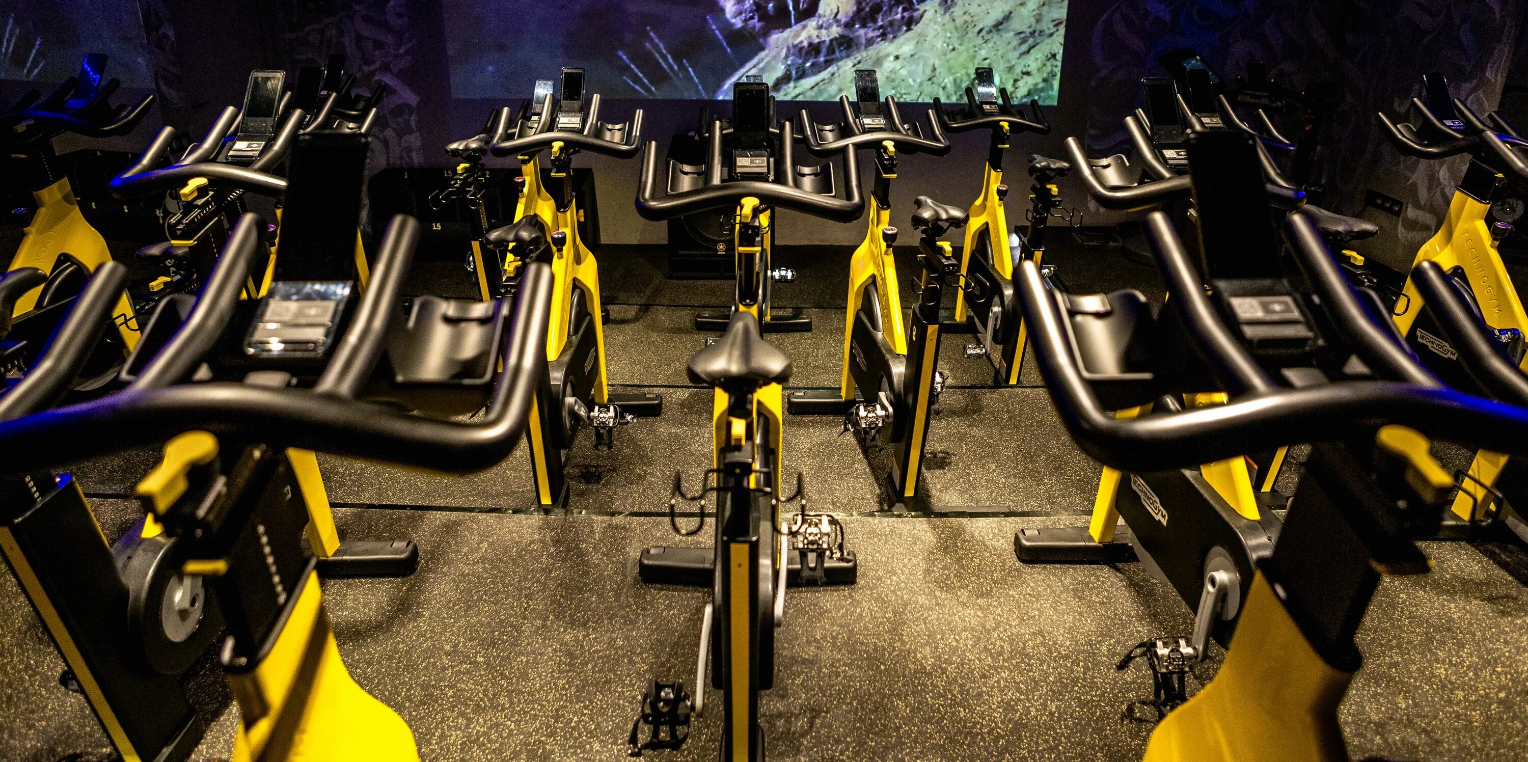 Рок зе сайкл новая голландия. Сайкл студия в новой голландии. Rock the cycle тверская. Rock the cycle новая голландия. Rock the cycle цдм.