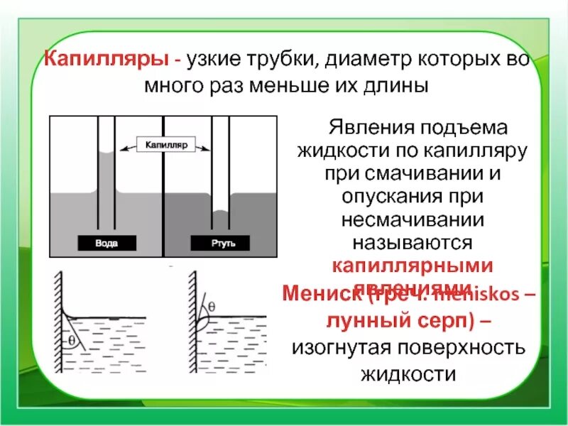 Движущие силы воды. Капиллярные явления в природе. Высота подъема жидкости по капилляру. Капиллярные явления в быту. Капиллярное поднятие жидкости.