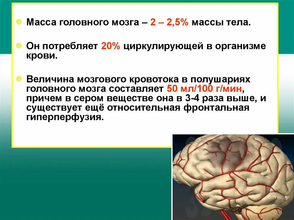 Хроническая болезнь мозга. Хроническая ишемия головного мозга. Ишемическое заболевание мозга. Ишемические изменения головного мозга. Головной мозг при ишемии.