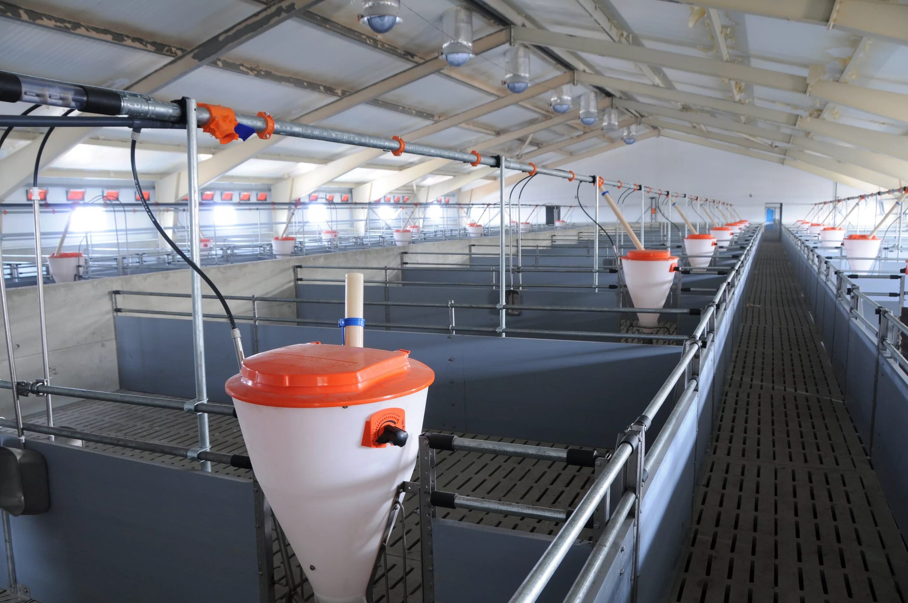 Мордовский свинокомплекс свиные уши. Липецкий свинокомплекс. Черкизово свиноводство липецкая область. Свинофермы липецкой области. Ооо черкизово-свиноводство липецкая обл.