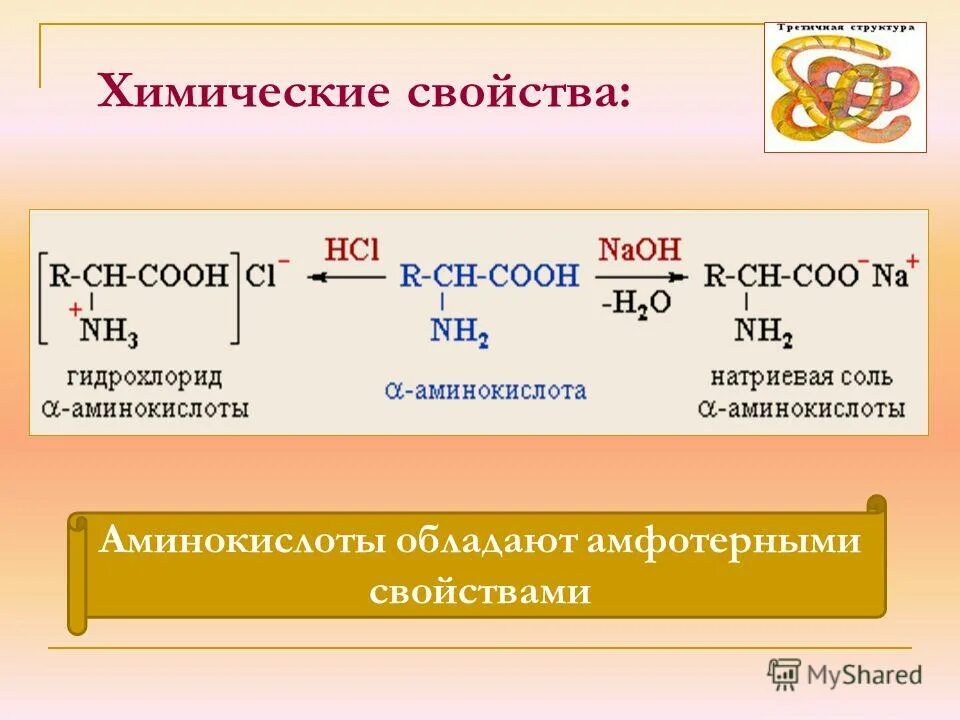 общие свойства аминокислот. аминокислоты могут проявлять свойства. какими свойствами обладают аминокислоты. какими свойствами обладают аминокислоты. аминокислоты обладают свойствами.