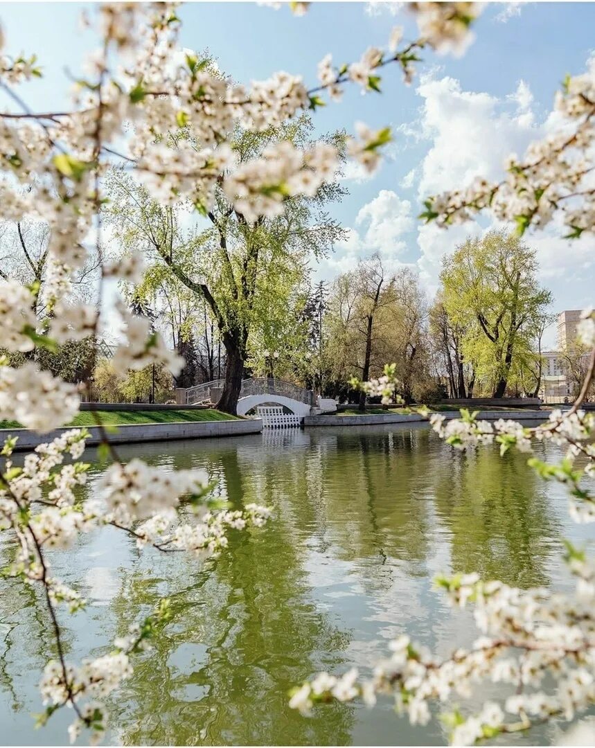 Погулять в москве весной. Парк Горького Москва. Парк Горького Москва весной. Парк Горького летом 2021.