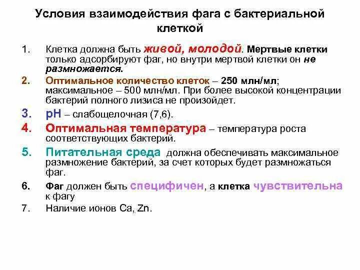 Последовательность этапов взаимодействия. Этапы взаимодействия вирулентного бактериофага с бактериальной. Фазы взаимодействия вирулентного фага с бактериальной клеткой. Вирулентный бактериофаг этапы взаимодействия. Типы взаимодействия фага с клеткой.