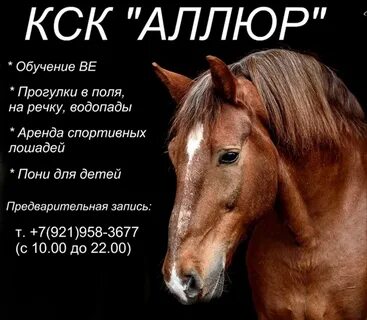 Аллюр ижевск конный