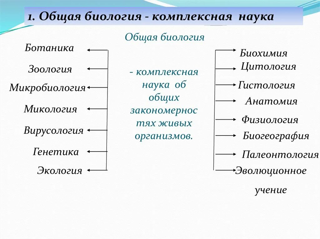 10 работ связанных с биологией. Система биологических наук. Биология комплексная наука. Наука о живой природе. Биологические дисциплины.