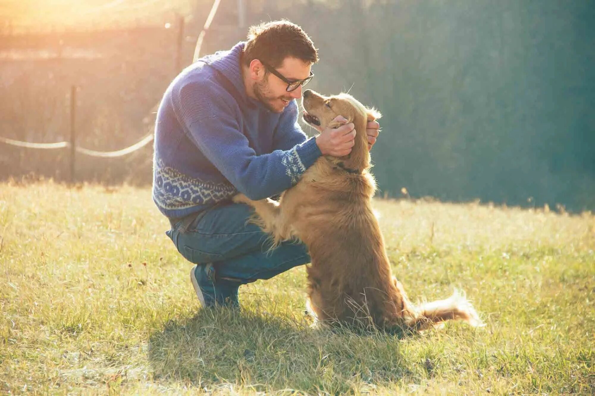 Хозяин собаки. Обнимает собаку. Пес и хозяин. Парень с собакой. Pet owner