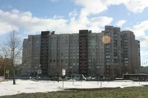 Восточное коллонтай 41